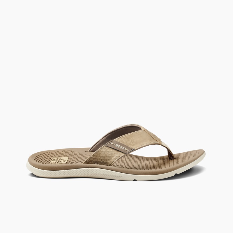 Brown Men's Reef Santa Ana Flip Flops | f3WybckGnfM