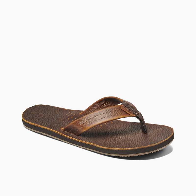 Multicolor Men's Reef Draftsmen Flip Flops | TZ9rSGeBHBp