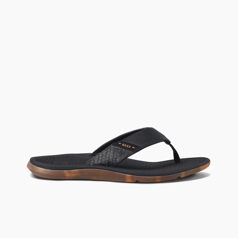 Multicolor Men's Reef Santa Ana Flip Flops | JxXgQSd5Ykn