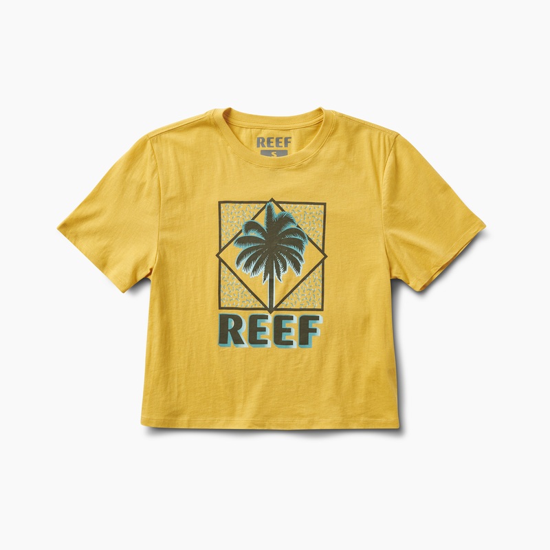 Multicolor Women\'s Reef Barco Cropped T Shirts | FB92nOqJCEN