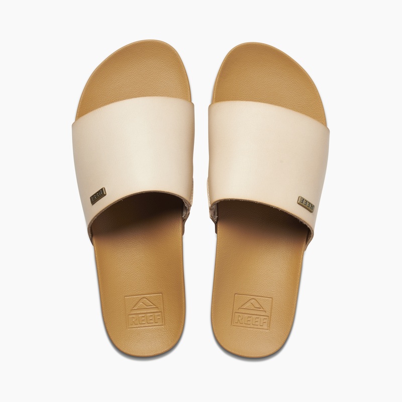 Multicolor Women\'s Reef Cushion Scout Slides | nGx8lYi5sYk