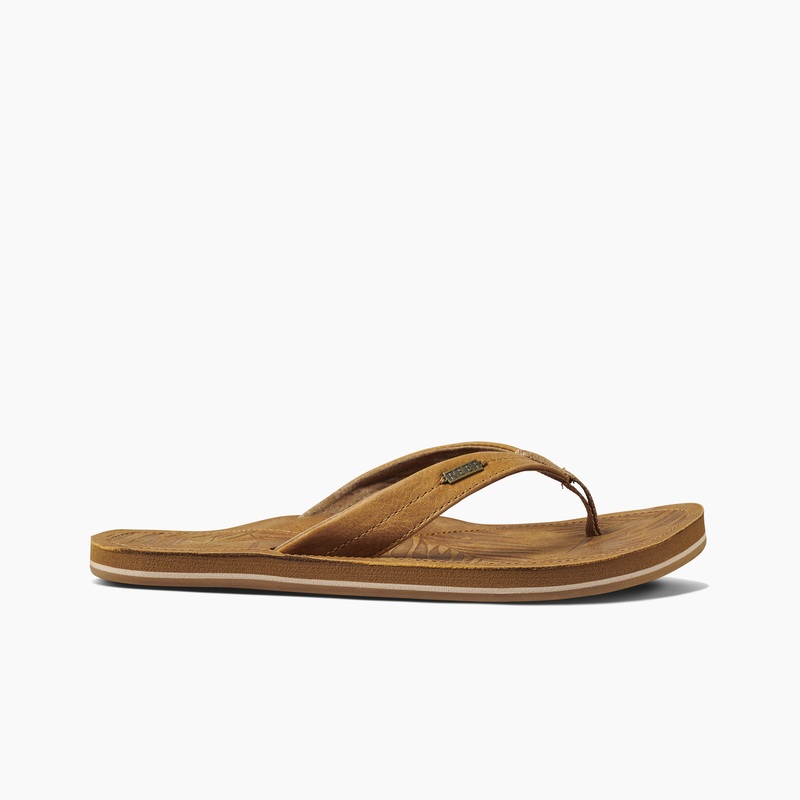 Multicolor Women's Reef Drift Away Le Flip Flops | 8sCQpDWWusg