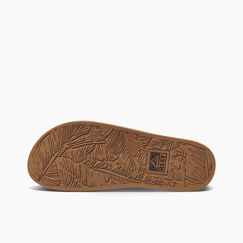 Multicolor Women's Reef Drift Away Le Flip Flops | 8sCQpDWWusg