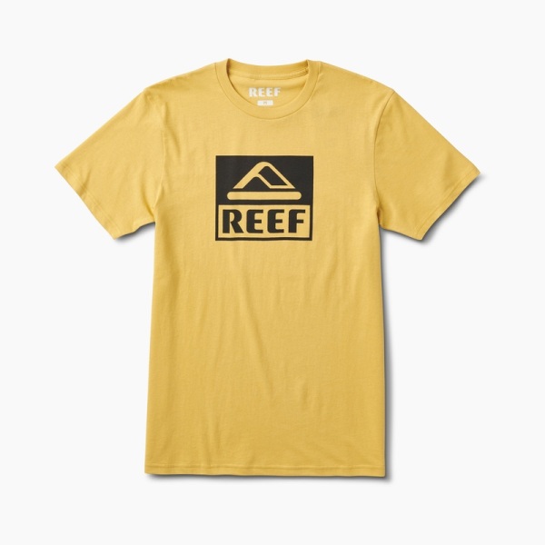 Multicolor Men's Reef Cushion Sol T Shirts | XAV4pPpXWKs